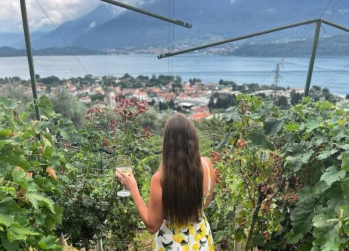 Stunning views among vineyards Lake Como